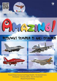 Image of Amazing! Pesawat Tempur si gempur