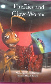 Image of Fireflies and Glow-Worms